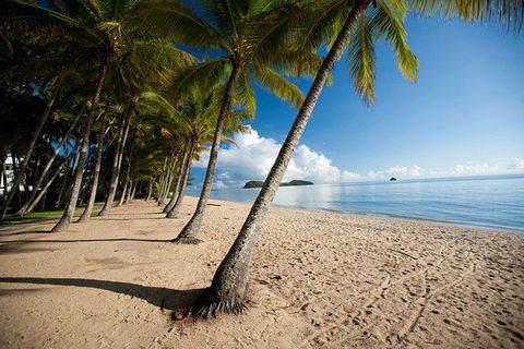 Kuranda Full-Day Small-Group Tour From Port Douglas - Accommodation Bookings 17