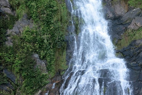 Kuranda Full-Day Small-Group Tour From Port Douglas - Accommodation Bookings 14