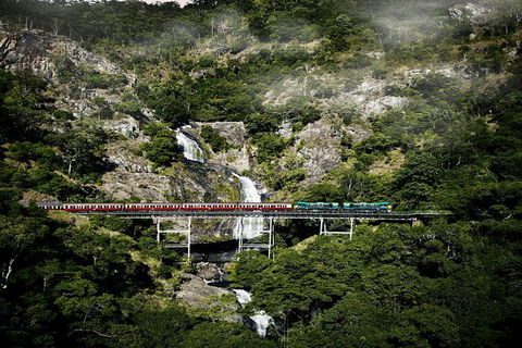 Kuranda Full-Day Small-Group Tour From Port Douglas - Accommodation Bookings 16