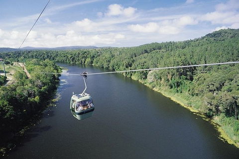 Kuranda Full-Day Small-Group Tour From Port Douglas - Accommodation Bookings 12