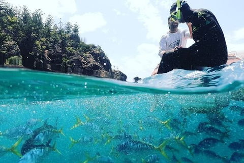 2 Night Small Group Whitsundays Sailing Adventure Aboard Mandrake - Accommodation Bookings 2