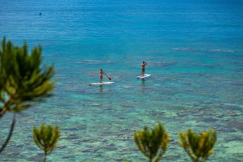 2-Night Whitsundays Sailing Adventure: Whitsunday Getaway - Accommodation Bookings 8