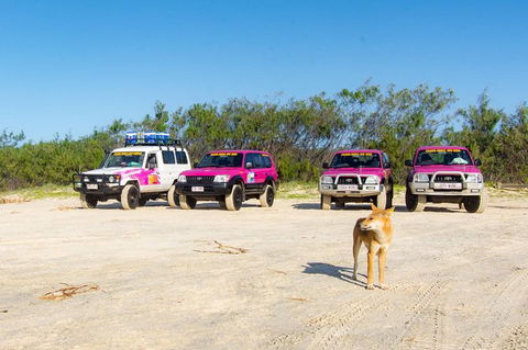 3 Day 4wd Tagalong Tour - Fraser Island - Accommodation Bookings 0