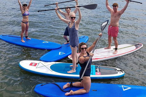 Noosa Stand Up Paddle Group Lesson - Accommodation Bookings 1