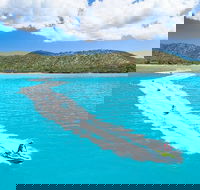 Whitsundays Jet Ski Tour - Accommodation Bookings