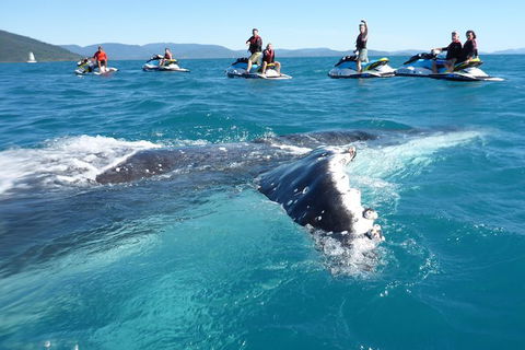 Whitsundays Jet Ski Tour - Accommodation Bookings 20