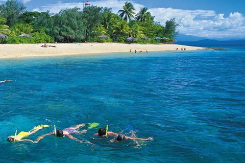 Wavedancer Low Isles Great Barrier Reef Sailing Cruise From Port Douglas - Accommodation Bookings 0