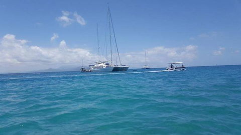 Wavedancer Low Isles Great Barrier Reef Sailing Cruise From Port Douglas - Accommodation Bookings 3