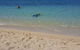 Wavedancer Low Isles Great Barrier Reef Sailing Cruise From Port Douglas - thumb 7