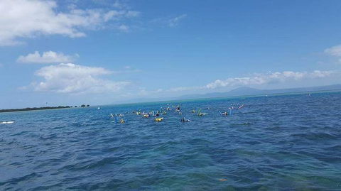 Wavedancer Low Isles Great Barrier Reef Sailing Cruise From Port Douglas - Accommodation Bookings 4