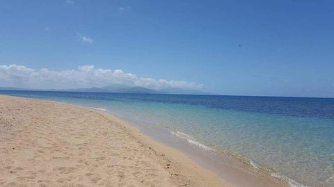 Wavedancer Low Isles Great Barrier Reef Sailing Cruise From Port Douglas - Accommodation Bookings 6