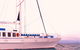 Wavedancer Low Isles Great Barrier Reef Sailing Cruise From Port Douglas - thumb 8