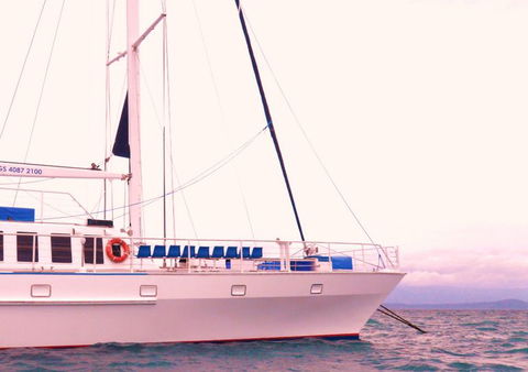 Wavedancer Low Isles Great Barrier Reef Sailing Cruise From Port Douglas - Accommodation Bookings 8