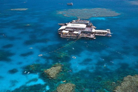 Quicksilver Outer Great Barrier Reef Snorkel Cruise From Palm Cove - Accommodation Bookings 1
