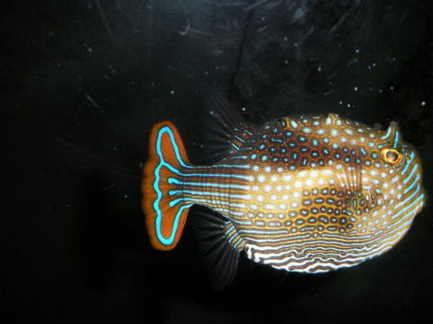 Quicksilver Outer Great Barrier Reef Snorkel Cruise From Palm Cove - Accommodation Bookings 6
