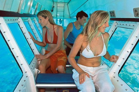 Quicksilver Outer Great Barrier Reef Snorkel Cruise From Palm Cove - Accommodation Bookings 8