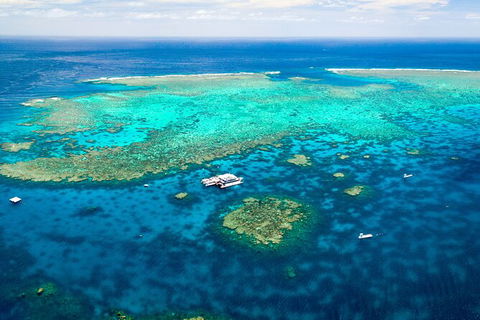 Quicksilver Outer Great Barrier Reef Snorkel Cruise From Palm Cove - Accommodation Bookings 9