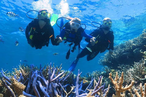 Quicksilver Outer Great Barrier Reef Snorkel Cruise From Palm Cove - Accommodation Bookings 11