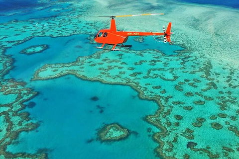 Whitehaven Heli Tour - Accommodation Bookings 4
