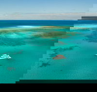 Great Barrier Reef Dive and Snorkel Cruise from Mission Beach - Accommodation Bookings