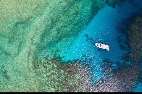 Great Barrier Reef Dive And Snorkel Cruise From Mission Beach - Accommodation Bookings 3