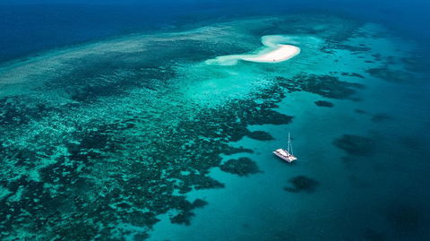 Outer Barrier Reef Sailing And Snorkeling Adventure From Port Douglas - Accommodation Bookings 0