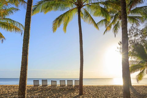 Port Douglas Round-Trip Transfer From Cairns With Free Time In Port Douglas - Accommodation Bookings 1