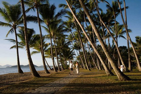 Port Douglas Round-Trip Transfer From Cairns With Free Time In Port Douglas - Accommodation Bookings 0