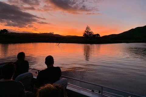 Daintree River Dawn Cruise - Accommodation Bookings 8
