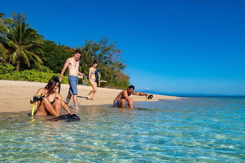 Half Day Low Isles Snorkelling Tour From Port Douglas - Accommodation Bookings 0