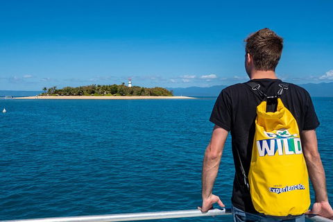 Half Day Low Isles Snorkelling Tour From Port Douglas - Accommodation Bookings 1
