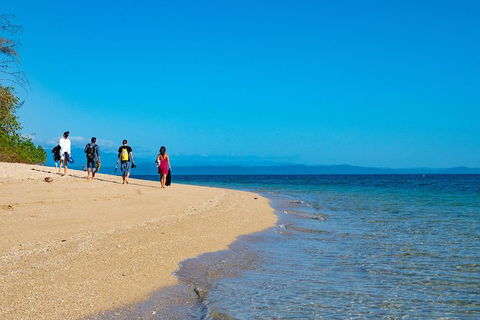 Half Day Low Isles Snorkelling Tour From Port Douglas - Accommodation Bookings 3