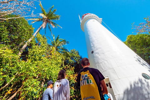 Half Day Low Isles Snorkelling Tour From Port Douglas - Accommodation Bookings 7