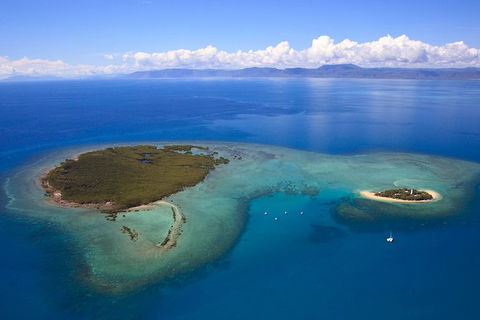 Half Day Low Isles Snorkelling Tour From Port Douglas - Accommodation Bookings 4