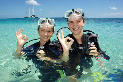 Ocean Spirit Michaelmas Cay Dive And Snorkel Cruise From Palm Cove - Accommodation Bookings 0