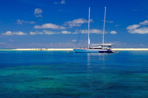 Ocean Spirit Michaelmas Cay Dive And Snorkel Cruise From Palm Cove - Accommodation Bookings 3