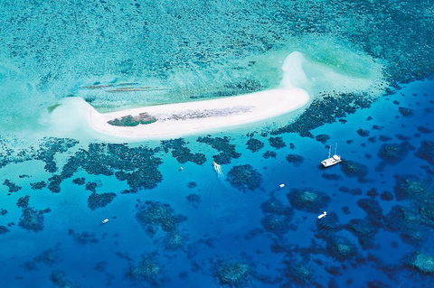 Ocean Spirit Michaelmas Cay Dive And Snorkel Cruise From Palm Cove - Accommodation Bookings 7