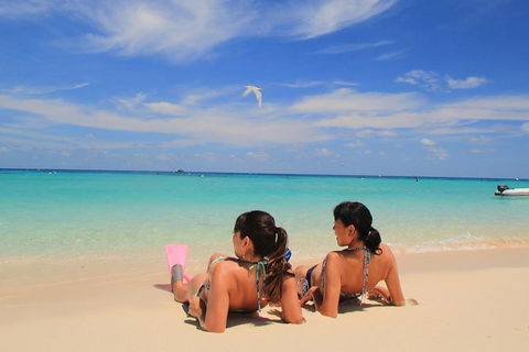 Ocean Spirit Michaelmas Cay Dive And Snorkel Cruise From Palm Cove - Accommodation Bookings 2