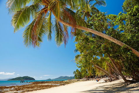 Private Daintree Wanderer Tour - Accommodation Bookings 4