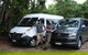 Private Daintree Wanderer Tour - thumb 5