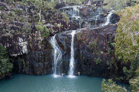 Whitsundays Tropical Rainforest, Waterfalls And Airlie Beach Eco Experience - Accommodation Bookings 0