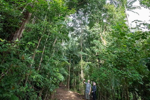 Whitsundays Tropical Rainforest, Waterfalls And Airlie Beach Eco Experience - Accommodation Bookings 1