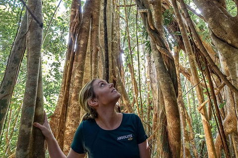 Whitsundays Tropical Rainforest, Waterfalls And Airlie Beach Eco Experience - Accommodation Bookings 14