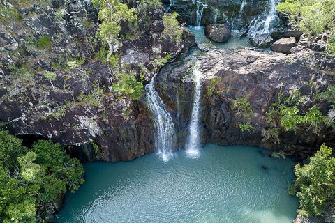 Whitsundays Tropical Rainforest, Waterfalls And Airlie Beach Eco Experience - Accommodation Bookings 13