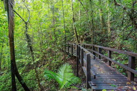 Whitsundays Tropical Rainforest, Waterfalls And Airlie Beach Eco Experience - Accommodation Bookings 3
