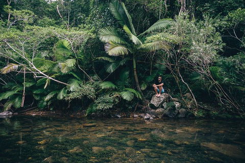 Whitsundays Tropical Rainforest, Waterfalls And Airlie Beach Eco Experience - Accommodation Bookings 2