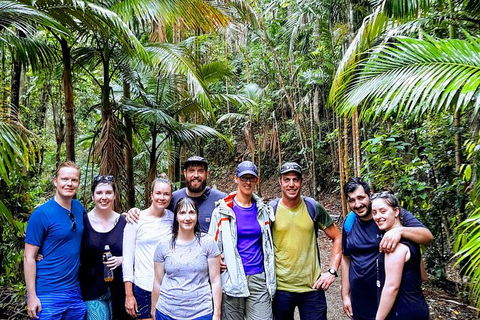 Whitsundays Tropical Rainforest, Waterfalls And Airlie Beach Eco Experience - Accommodation Bookings 15