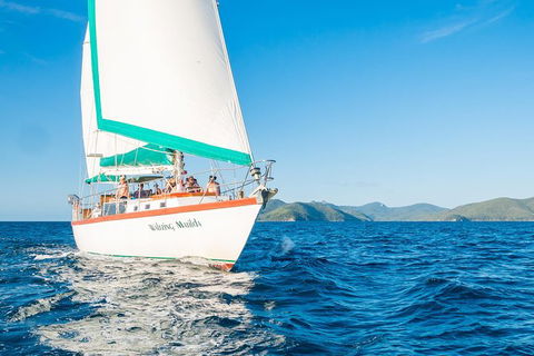 2-Day Whitsundays Sailing Adventure: Waltzing Matilda - Accommodation Bookings 0