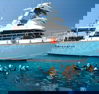 Great Barrier Reef Cruise from Townsville or Magnetic Island - Accommodation Bookings
