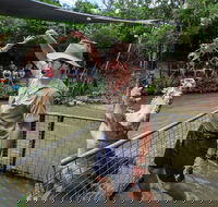 Hartley's Crocodile Adventures Day Trip from Cairns - Accommodation Bookings
